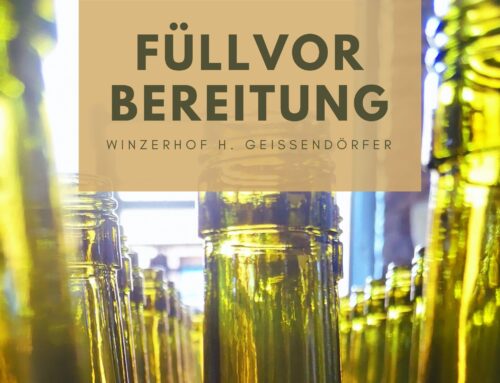 Die Vorbereitungen laufen